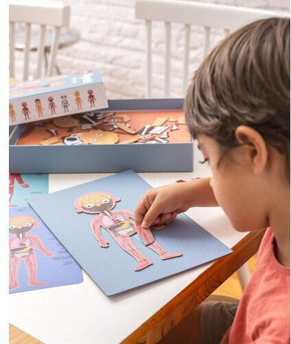 Apli Kids Το Ανθρώπινο Σώμα Εκπαιδευτικό Παιχνίδι Γνώσεων για 5+ Ετών