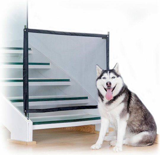 InnovaGoods Petinu Divider Car for Dog Black