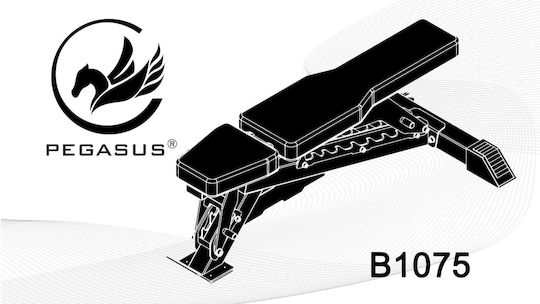 Pegasus B1075 Ρυθμιζόμενος Πάγκος Γυμναστικής