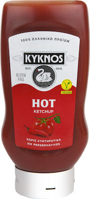 Ketchup Hot 560g