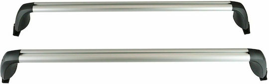 Toyota 2006-2010 (with Roof Rack Legs and Lock) Silver