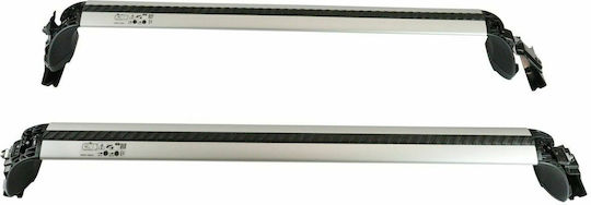 Toyota 2019 (with Roof Rack Legs and Lock) Silver