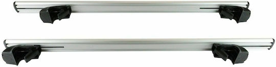 Toyota 2008-2010 (with Roof Rack Legs and Lock) Silver