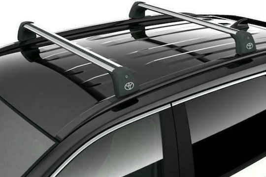 Toyota 2018-2022 (with Roof Rack Legs and Lock) Silver