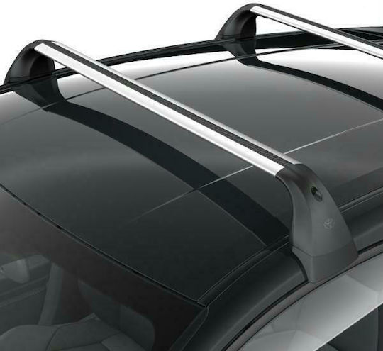 Toyota 2019 (with Roof Rack Legs and Lock) Silver