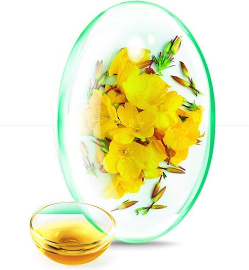 Rotta Natura Supliment 500mg Pentru Menopauză 30 Capsule