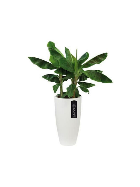 Elho Flower Pot in White Color 7287514