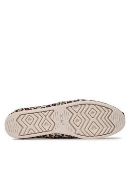 Toms