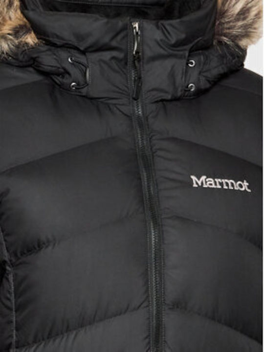 Marmot