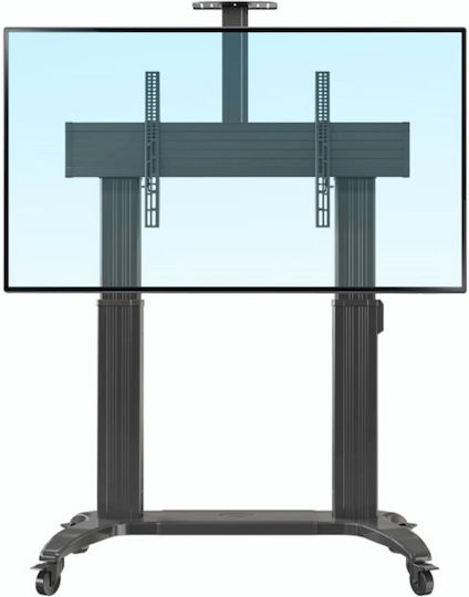 NB AV TW100 TW100 Suport TV pardoseală până la 100" și 134kg