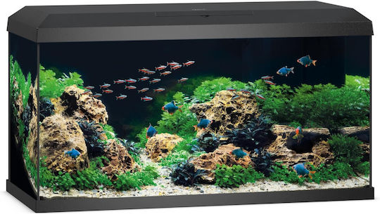 Juwel Echipament Kai Mobilier Aquarium Primo 110 Acvariu de Pești cu Capacitate de 110lt cu Iluminare și 81x36x43.5cm. Negru