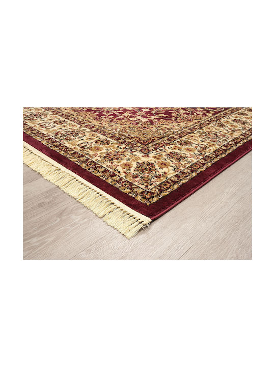 Newplan Persia 5649 Teppich Rechteckig mit Fransen Burgundy