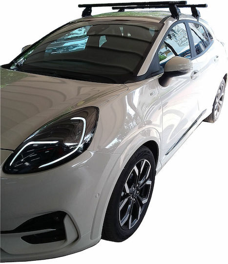 Menabo (with Roof Rack Legs and Lock) Silver