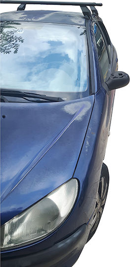 Menabo (with Roof Rack Legs) Silver