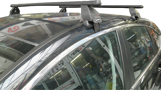 Menabo (with Roof Rack Legs) Silver