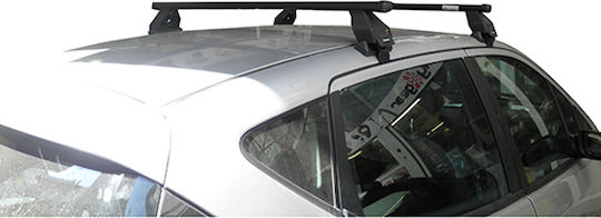 Menabo (with Roof Rack Legs) Silver