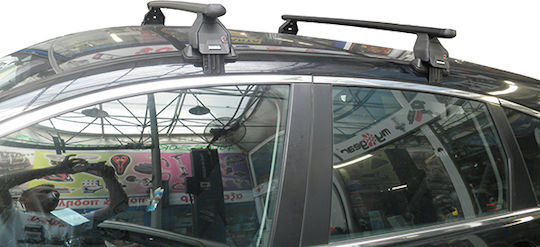 Menabo (with Roof Rack Legs) Silver