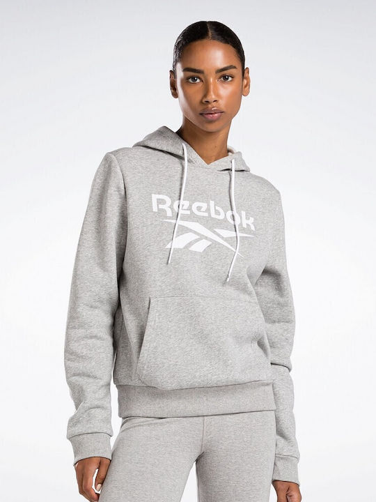 Identity Big Logo Damen Sweatshirt Kapuzen Gray
