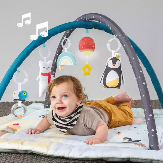 Taf Toys North Pole 4 Seasons Activity Gym for 3+ Months