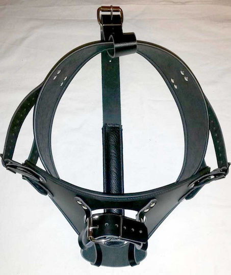 Kinksters Strap-on Harness in Black Color