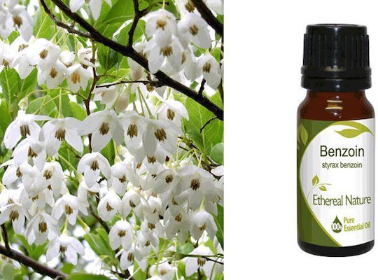 Nature & Body Essential Oil 10ml