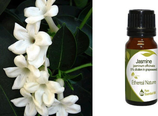 Nature & Body Жасмин Jasmine Етерично Масло Жасмин 10ml