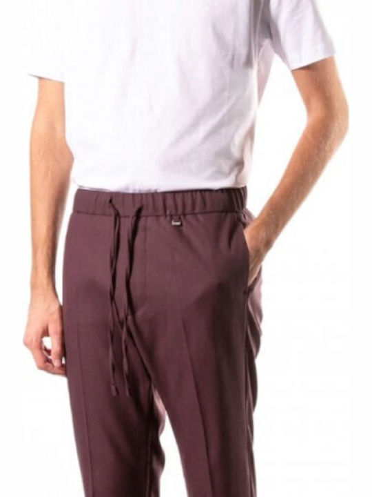 Hose Burgundisch