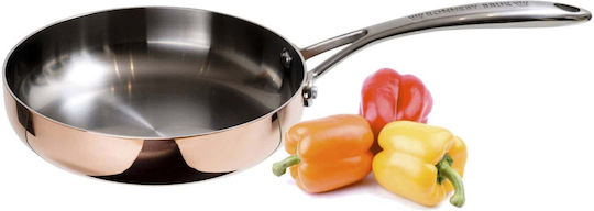 Ronneby Bruk Maestro 20cm Τηγάνι