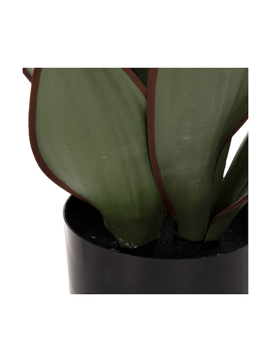 Künstliche Pflanze im Töpfchen Grün 12cm HomeMarkt