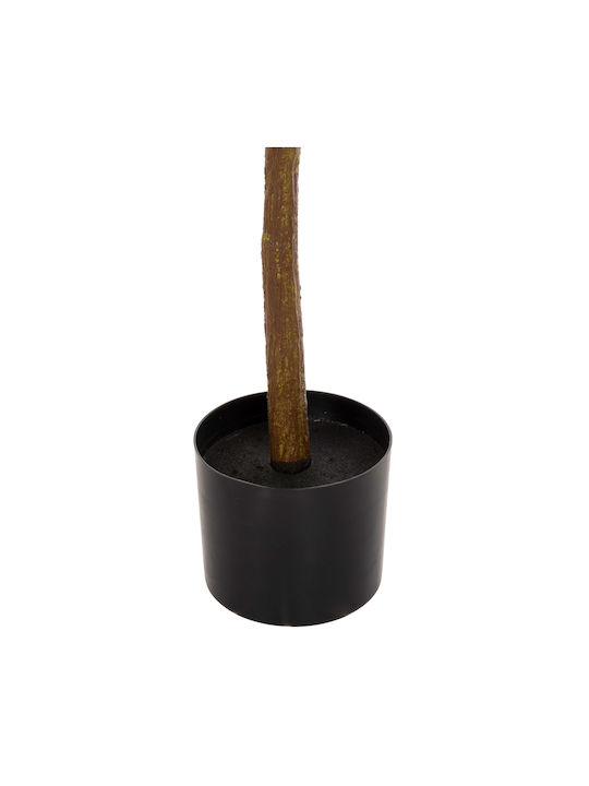 Künstliche Pflanze im Töpfchen Orange 12.5cm HomeMarkt