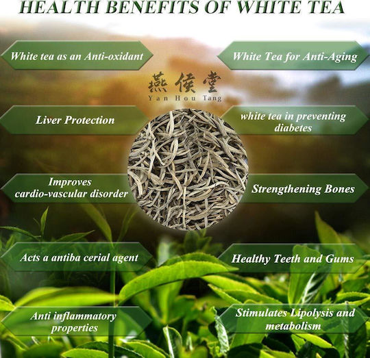 White Tea Bai Mu Dan China 200 Gr