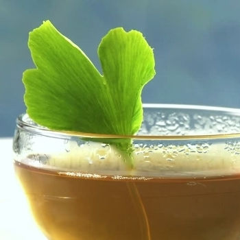 Τζινγκο Μπιλομπα Ginkgo Biloba Φυλλο Κομμενο Κινας 50 Gr