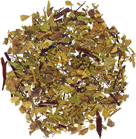 Adiantum Capillus-Veneris Geschnittene Pflanze 100 g