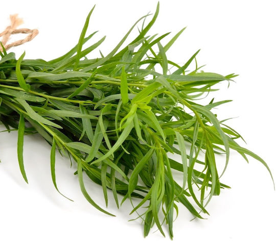 Panora Estragon 50gr