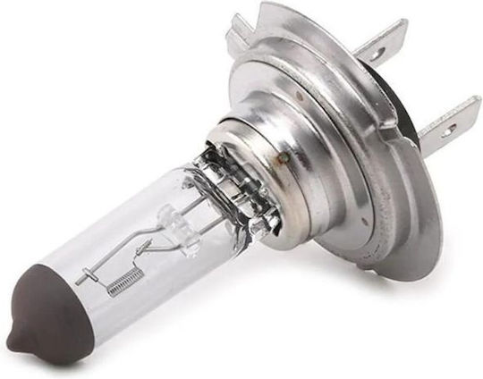 Osram Lampen Auto Classic H7 Halogen 4200K Naturweiß 12V 55W 1Stück LO-