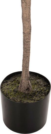 Plantă Artificială în Ghiveci Pachira Green 190cm HomeMarkt