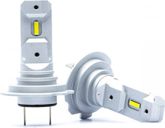 Einparts Lamps Car Canbus LED 6000K Cold White 2pcs