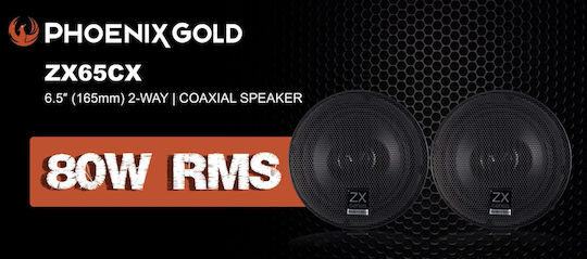 Phoenix Gold Set Auto-Lautsprecher 8" mit 225W RMS (Mittelklasse)