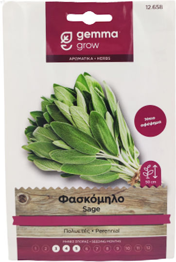 Gemma Σπόροι Φασκόμηλο 0.3gr