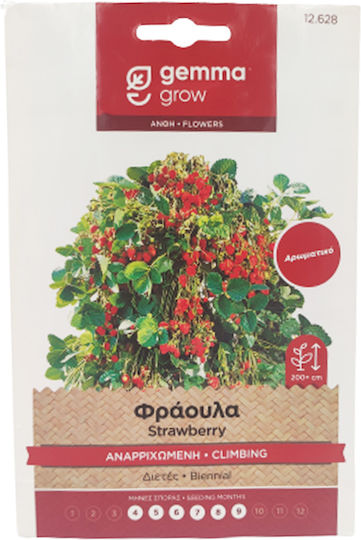 Gemma Samen Blaubeereς Kletternd 0.15gr
