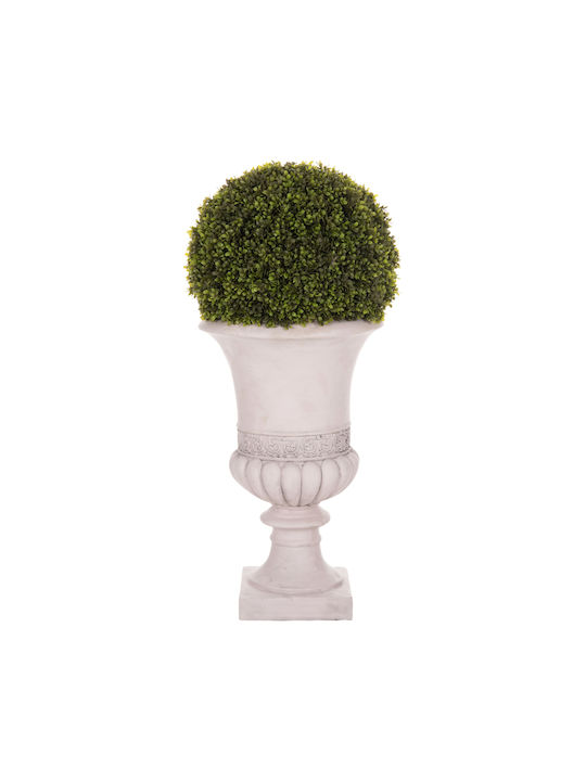Buxus В Саксия Многоцветен 82см HomeMarkt