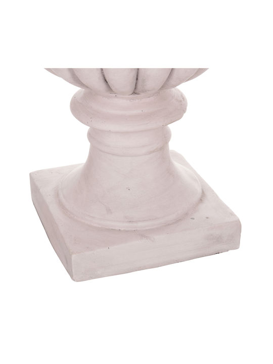 Buxus В Саксия Многоцветен 82см HomeMarkt
