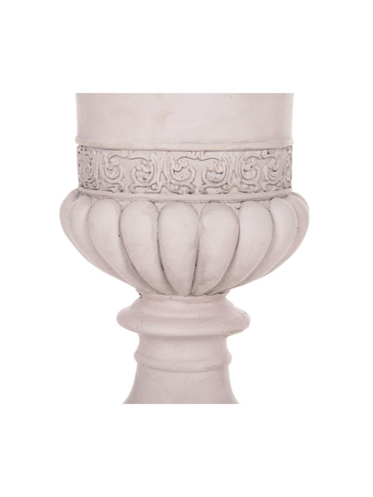 Buxus В Саксия Многоцветен 82см HomeMarkt