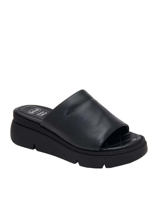 Scholl
