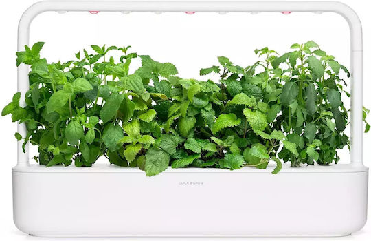 Click and Grow Σπόροι Πολύχρωμο 9τμχ