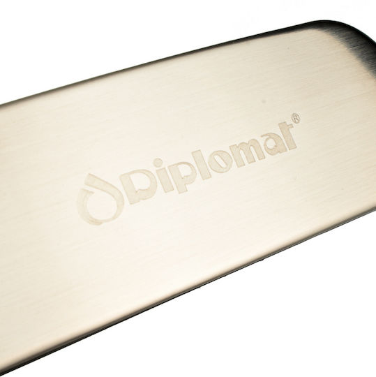 Diplomat Silver Luggage Scale