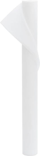 vidaXL 3203509 Antifreeze Cover Fabric 70gr/m² 10x1.6m White