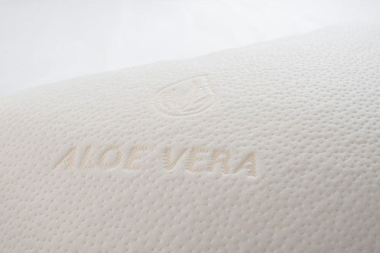 Joli Aloe Vera Polyester 50x70cm