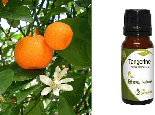 Nature & Body Ätherisches Öl Mandarin 10ml