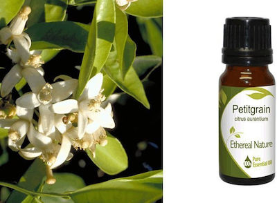 Nature & Body Essential Oil 10ml